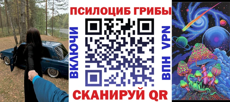 мориарти клад  Мариинск  Галлюциногенные грибы прущие грибы 