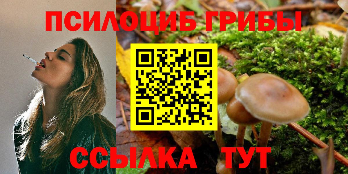 Галлюциногенные грибы мухоморы Мариинск