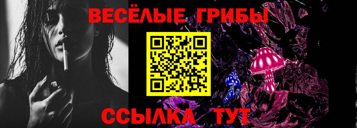 Мариинск  Галлюциногенные грибы ЛСД  Вход с VPN 