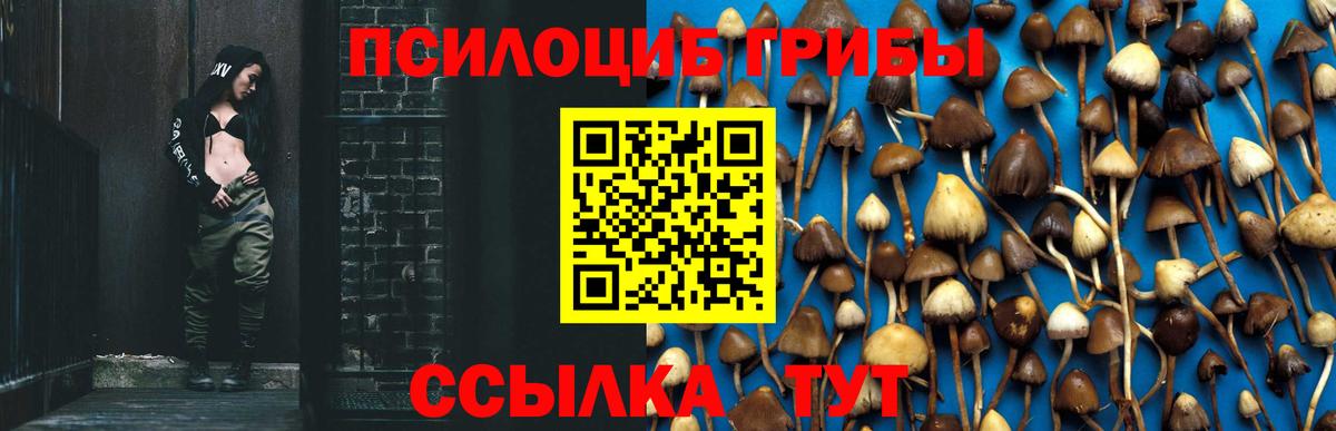 Галлюциногенные грибы Magic Shrooms  Вход с VPN  Псилоцибиновые грибы GOLDEN TEACHER  Мариинск 